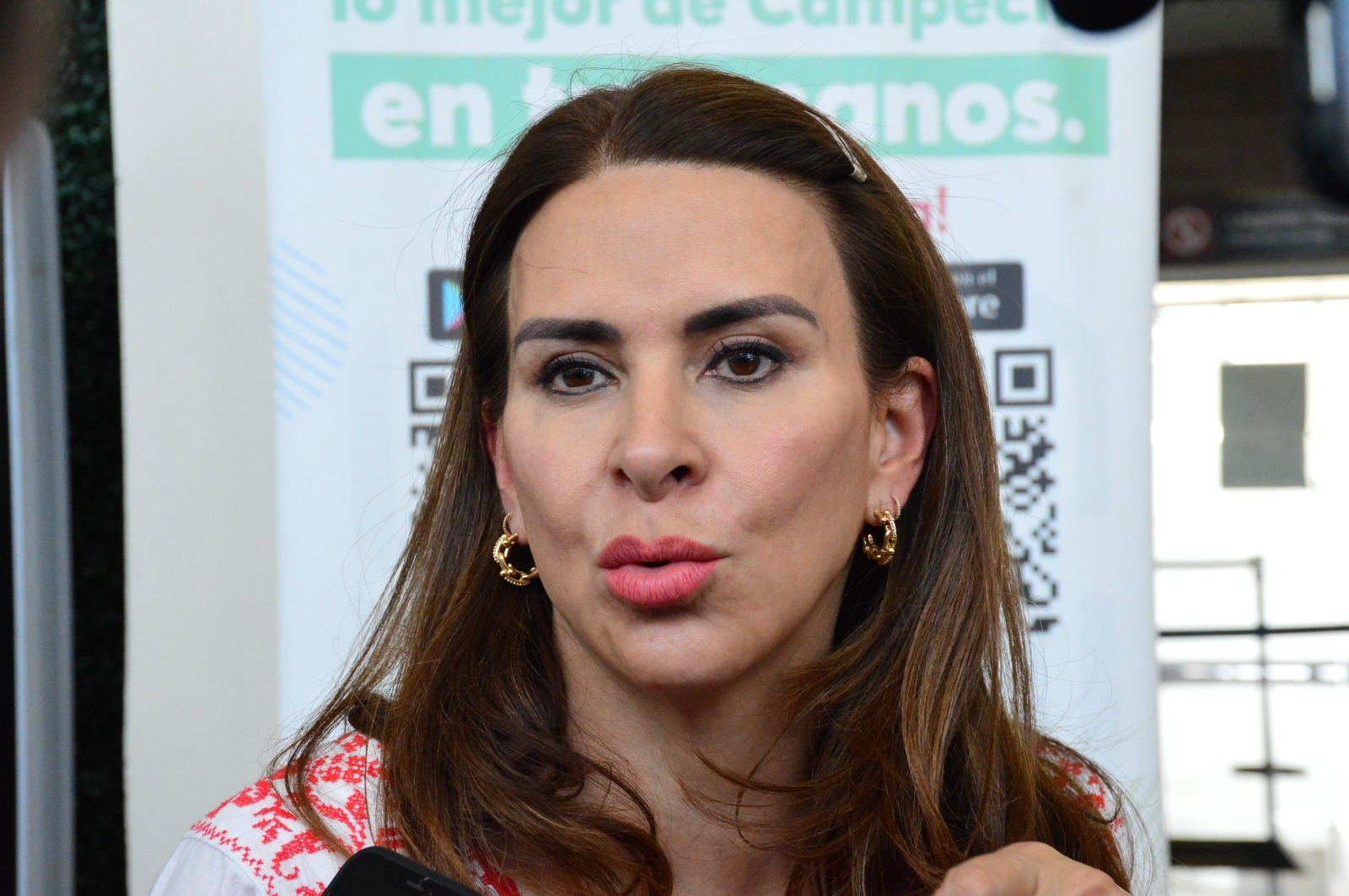 La secretaria Nacional del Partido Revolucionario Institucional (PRI), Carolina Viggiano Austria dio su postura al respecto