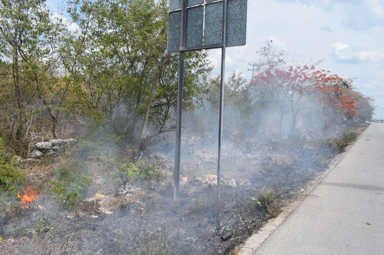 Incendio consume maleza a la orilla de la carretera rumbo a Progreso