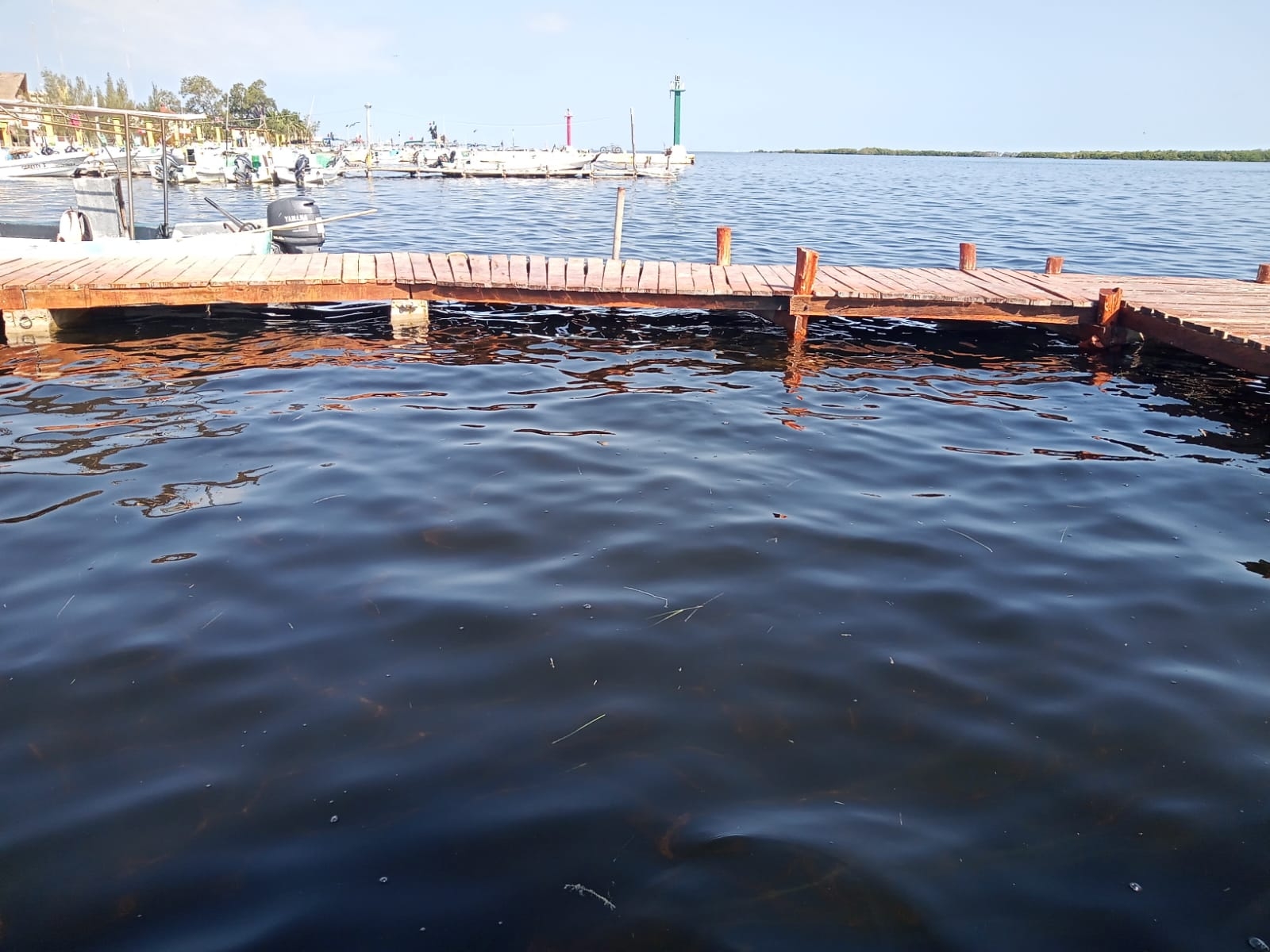 Se desborda el mar en las costas de San Felipe y Río Lagartos en Yucatán