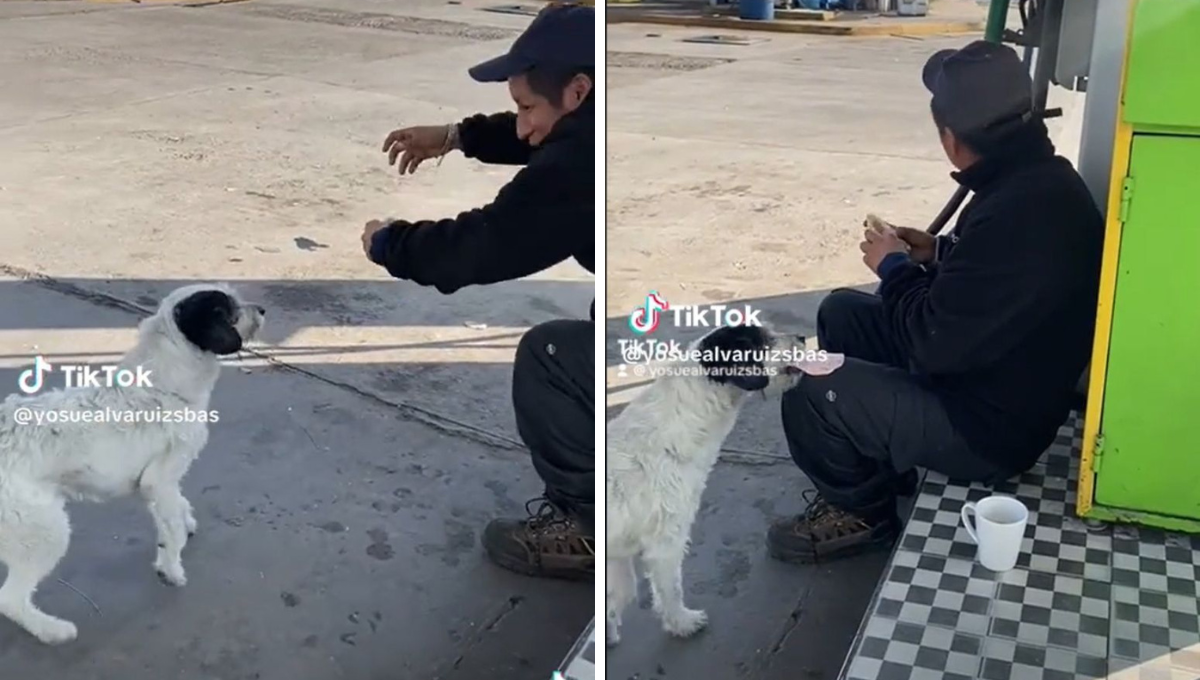 Por distraído, perrito roba comida a un despachador de gasolina y lo deja sin desayuno
