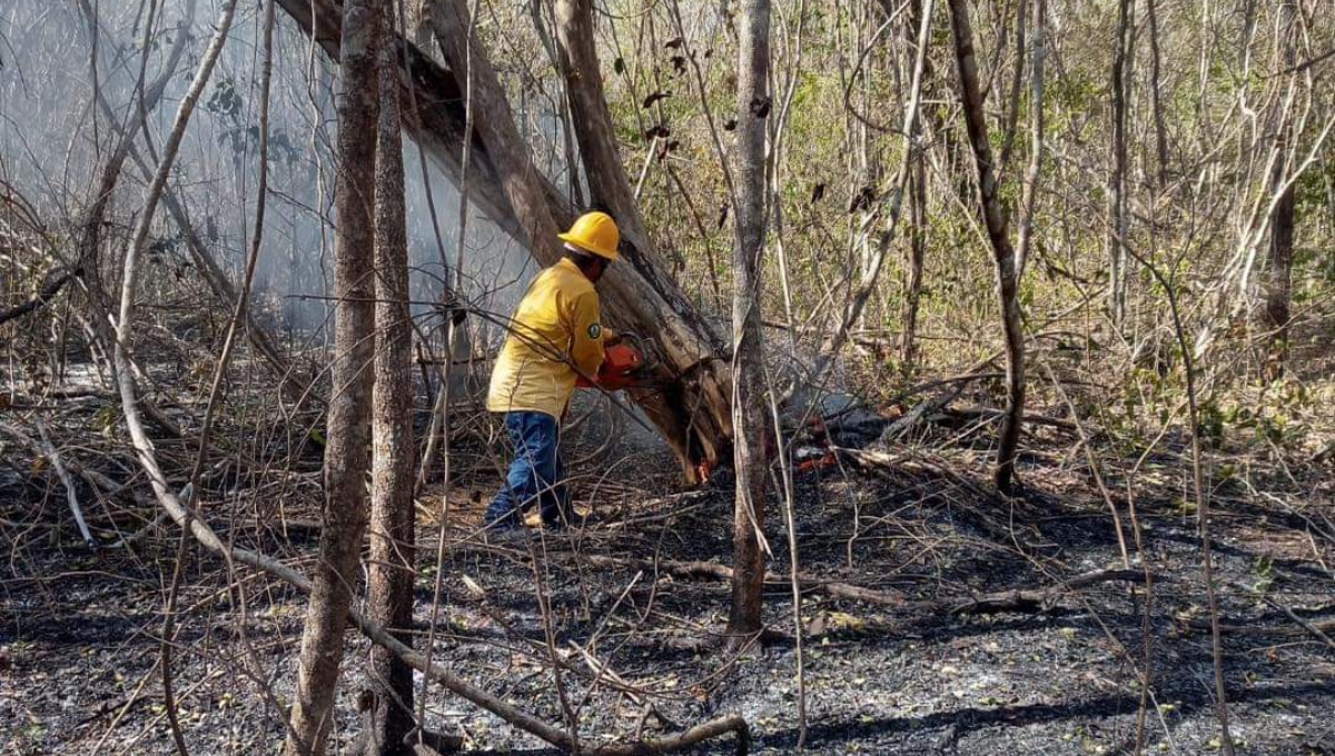Los incendios continúan en Campeche durante 2023