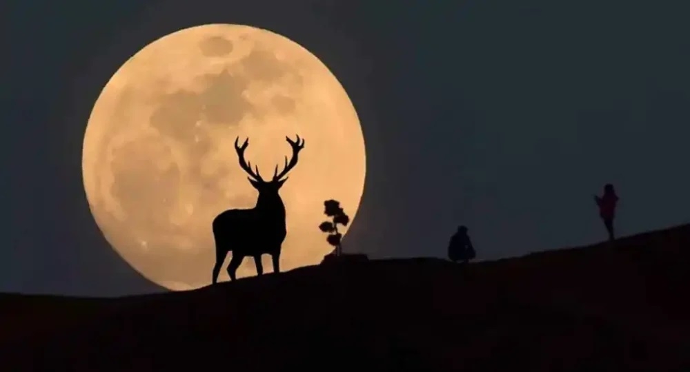 La Superluna de Ciervo podrá verse desde Yucatán