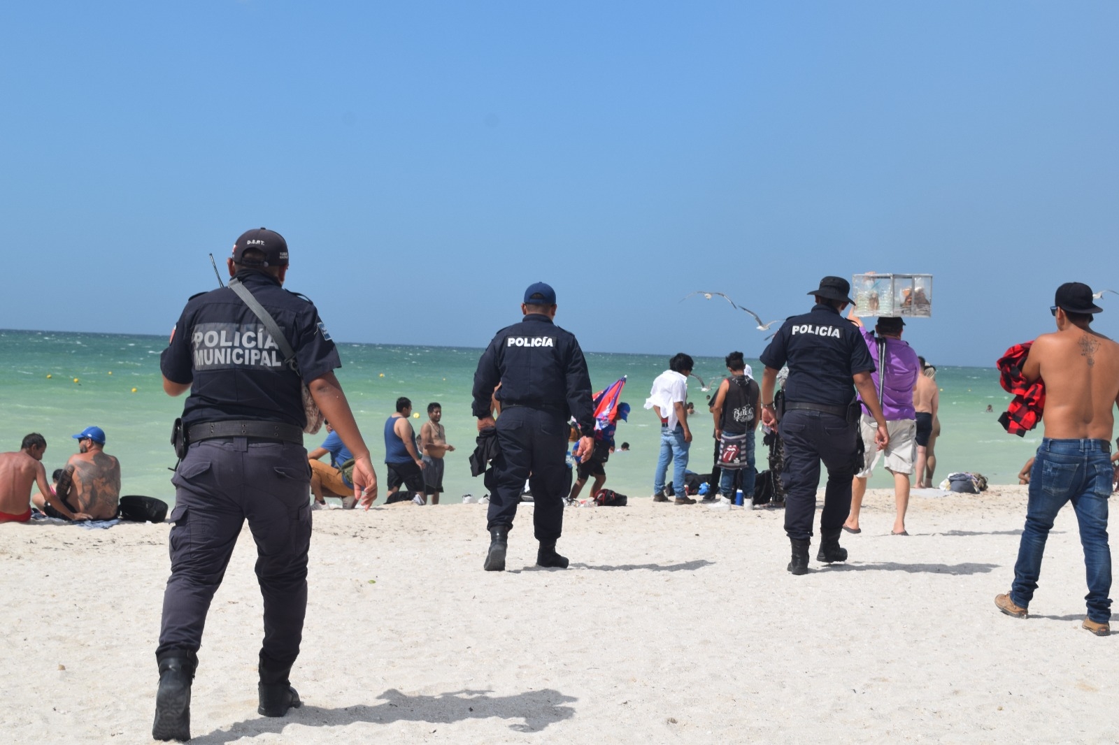 Mantarraya pica a cinco personas en el mar de Progreso; hay una niña herida