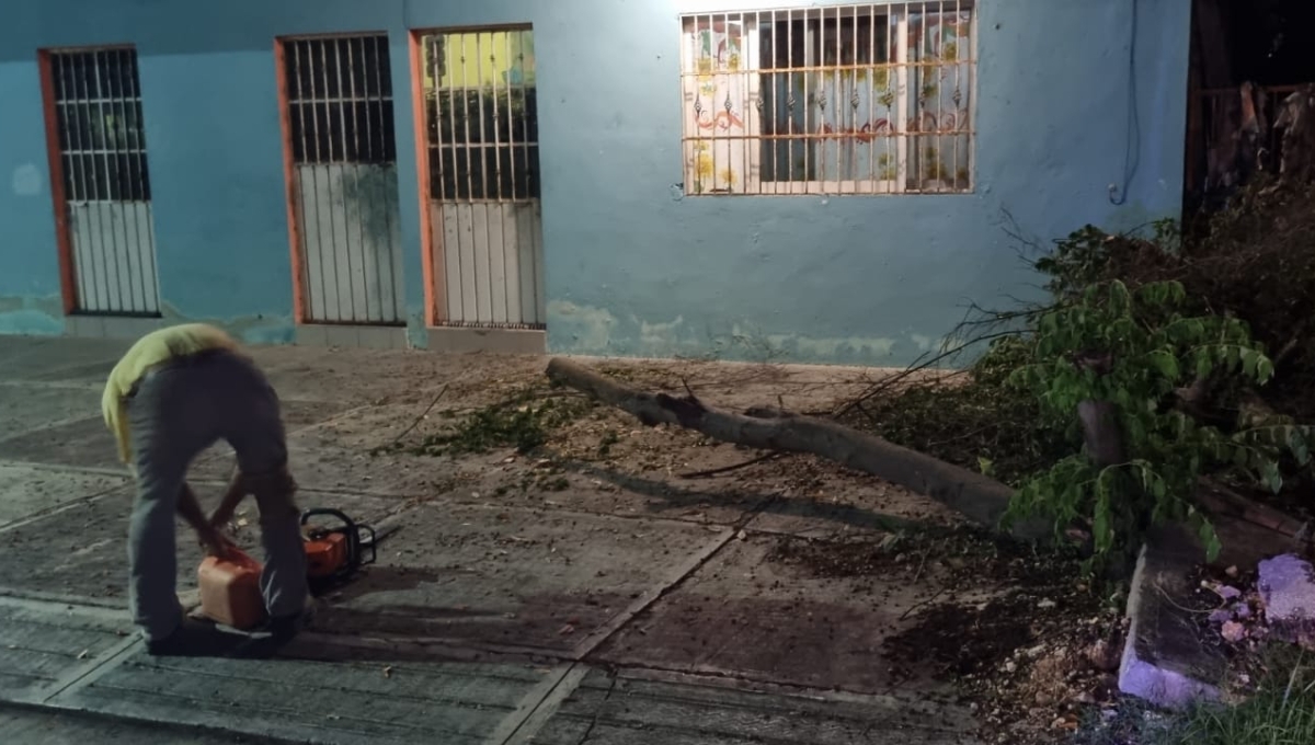 Onda Tropical 12 derriba árboles y postes de telefonía en Escárcega