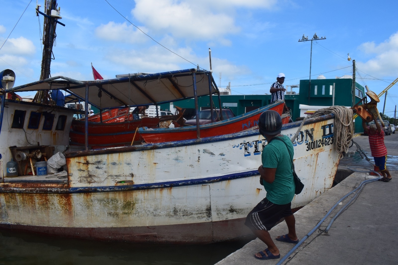 Temporada de pulpo, esperanza de los pescadores de Progreso para rescatar su economía