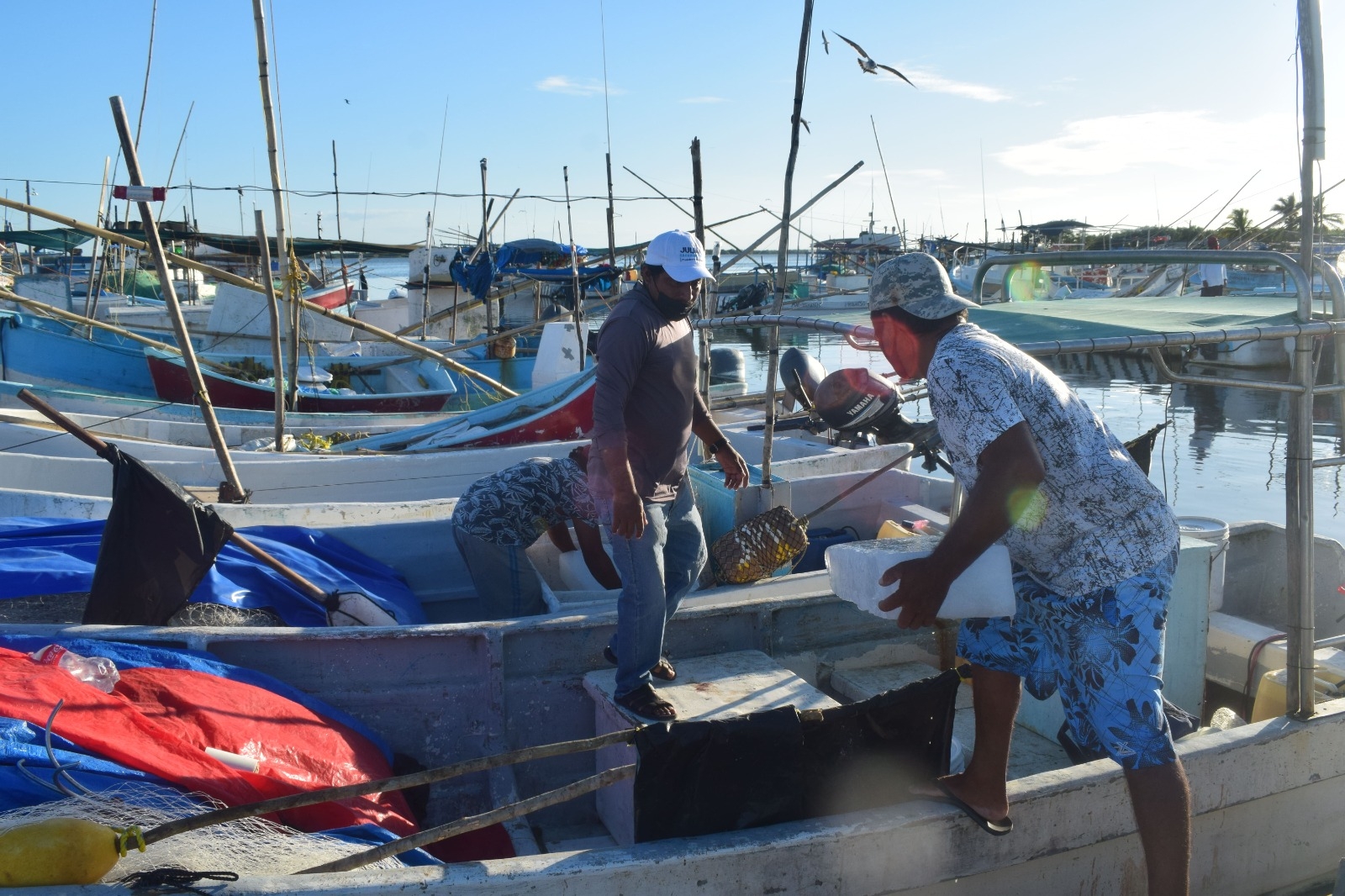 Pescadores de Progreso invierten 9 mdp para la Temporada de Pulpo
