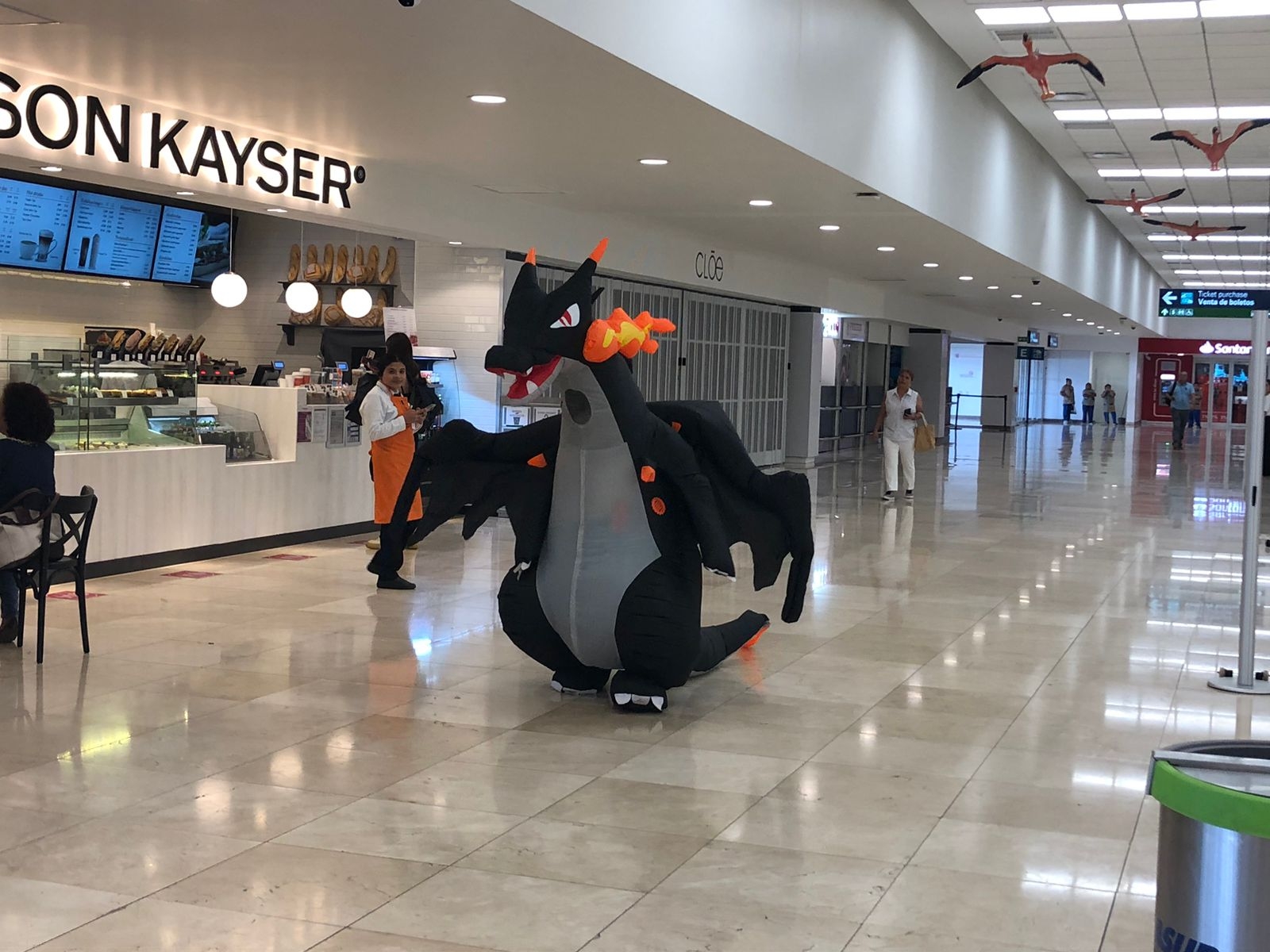 Aparece un dragón en el aeropuerto de Mérida; sorprende a viajeros