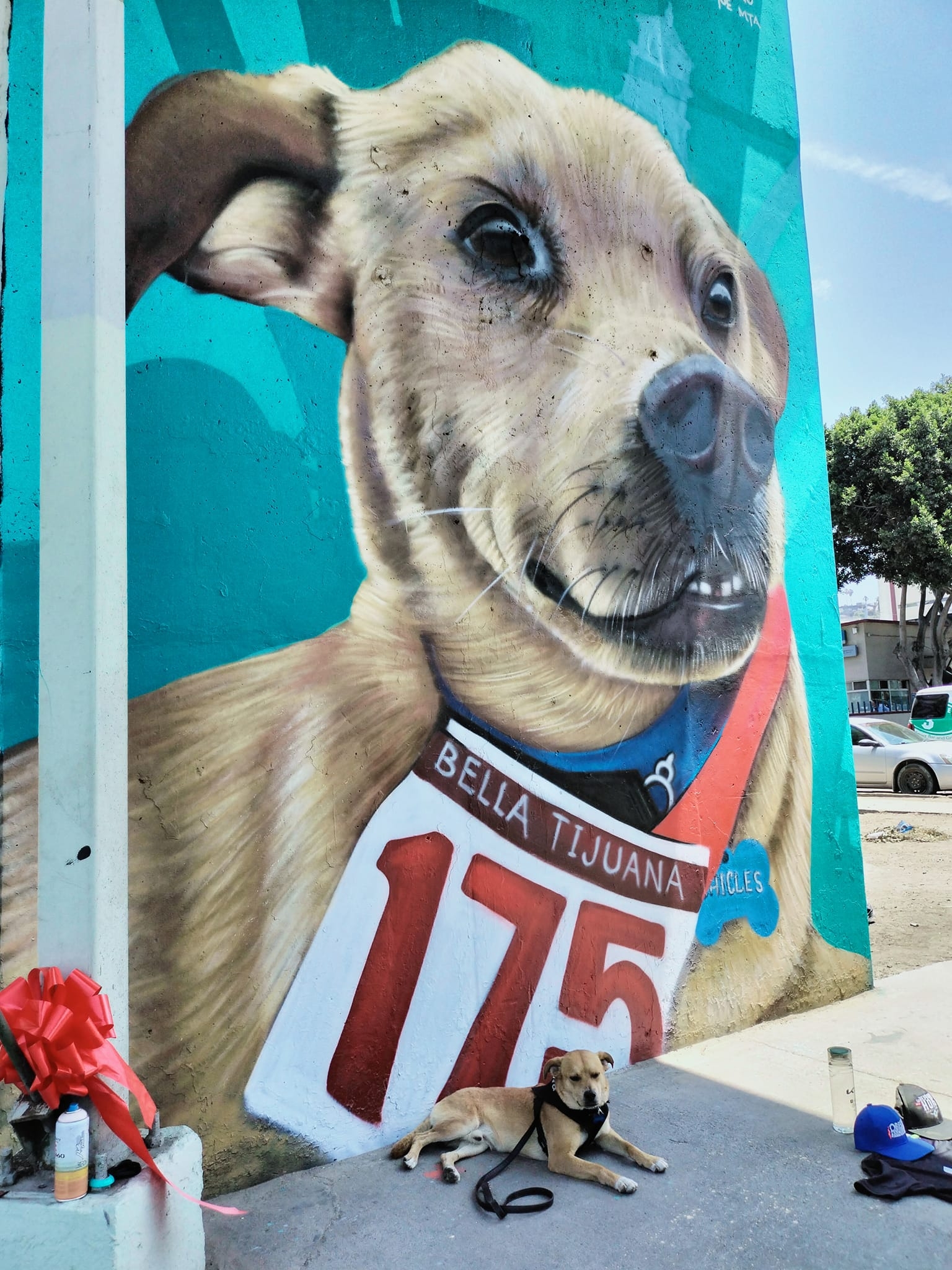 Pintan mural dedicado a 'El Chicles', perrito maratonista, en Baja California