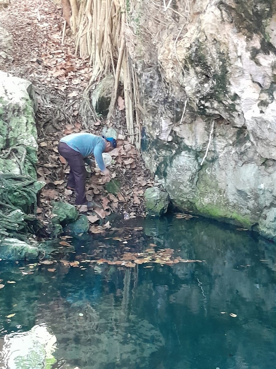 De cenotes a basureros clandestinos: Habitantes de Playa del Carmen continúan contaminando