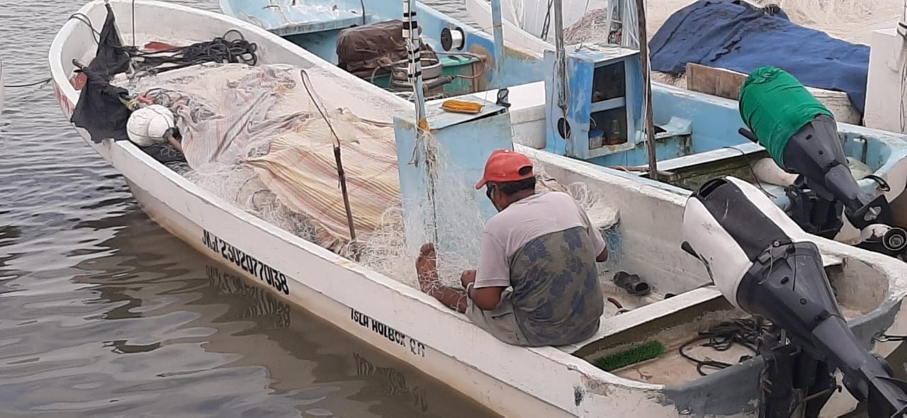 Pescadores inician temporada de langosta en Lázaro Cárdenas con incertidumbre