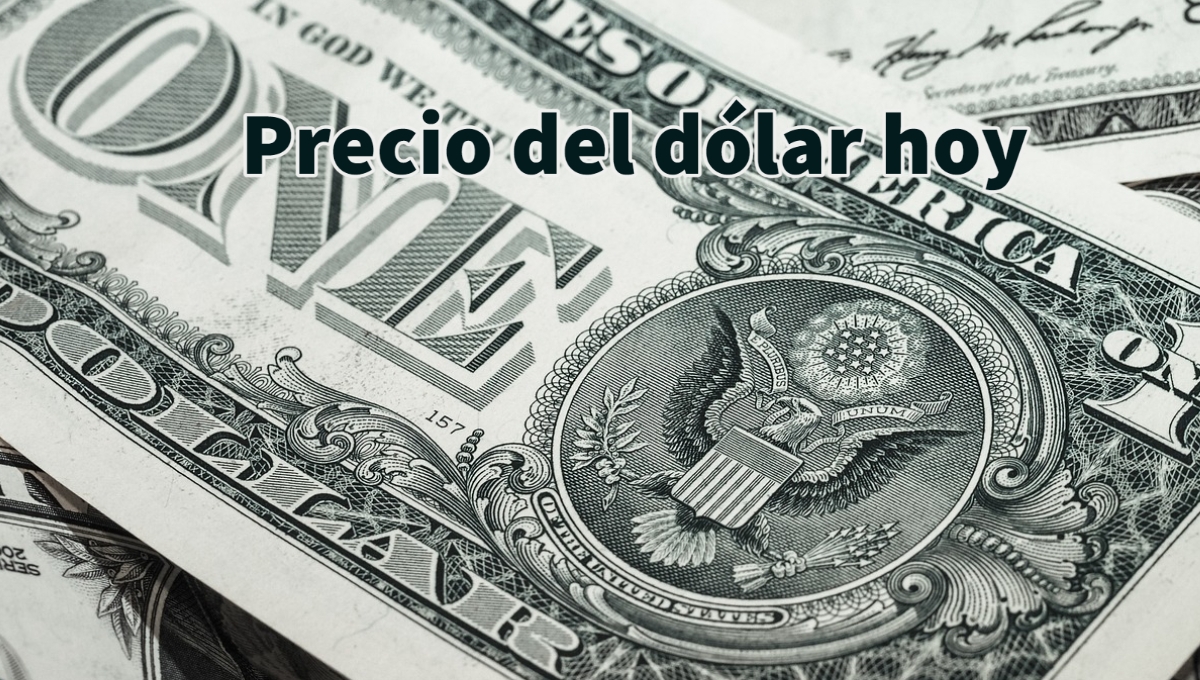 Dólar en México: ¿Cuánto cuesta el 25 de noviembre de 2023?