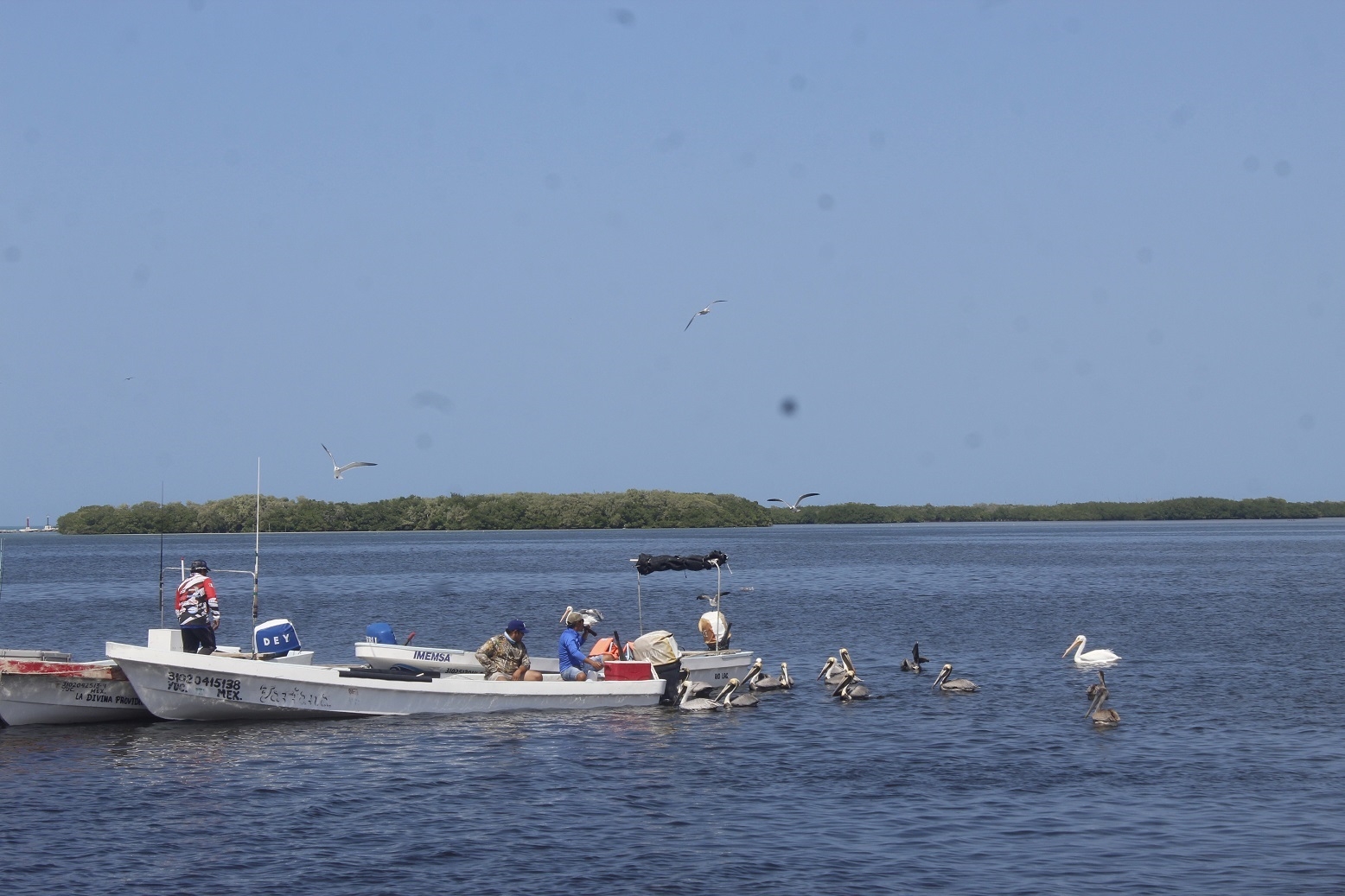 Alerta por extraño manchón en la costa de Yucatán; pescadores piden estudio