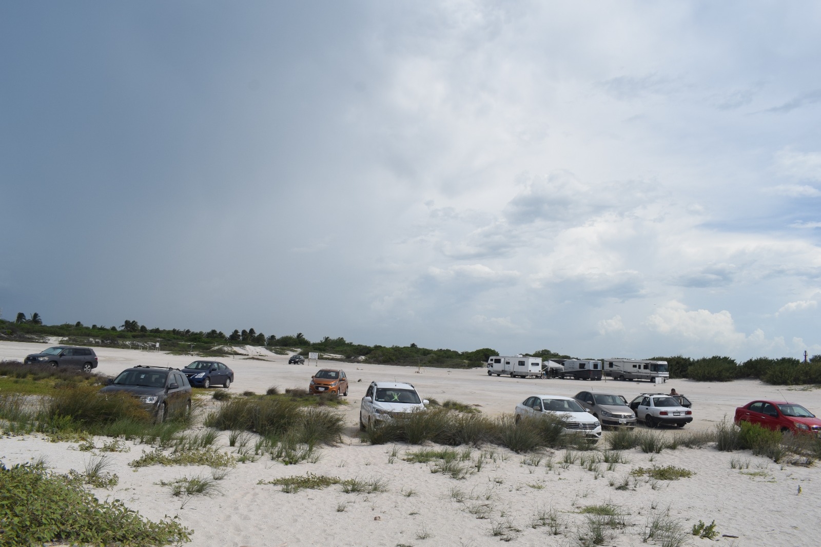 Autos invaden las dunas de Chuburná, área de anidación de tortugas en Yucatán