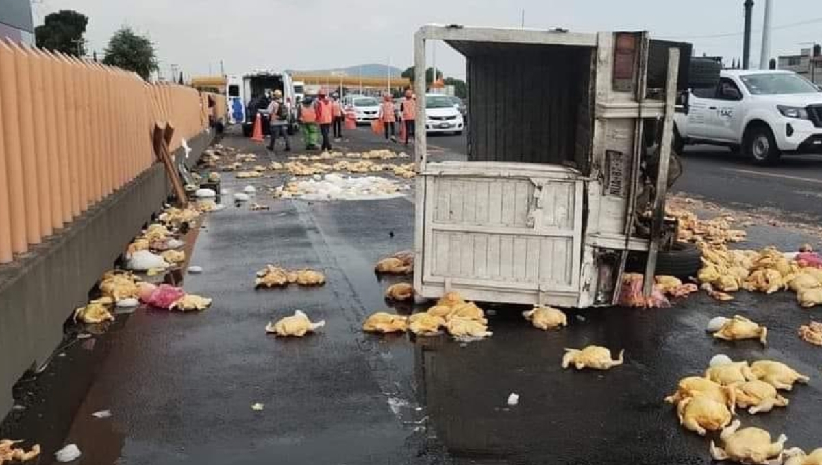 Accidente en la México-Puebla: Pollos 'vuelven a morir' tras volcarse una camioneta