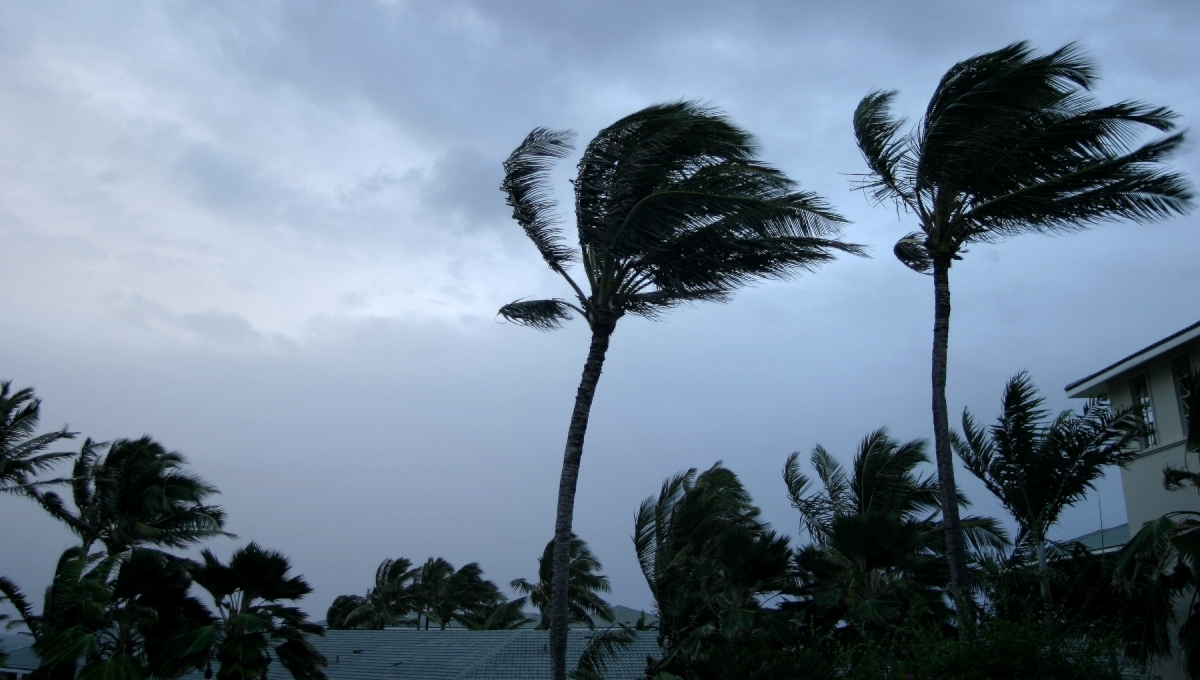 Un Ciclón Tropical se formaría en el Atlántico la próxima semana