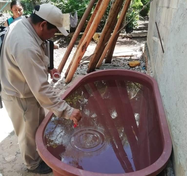 Piden a familias sumarse al combate del mosquito transmisor del dengue en Campeche