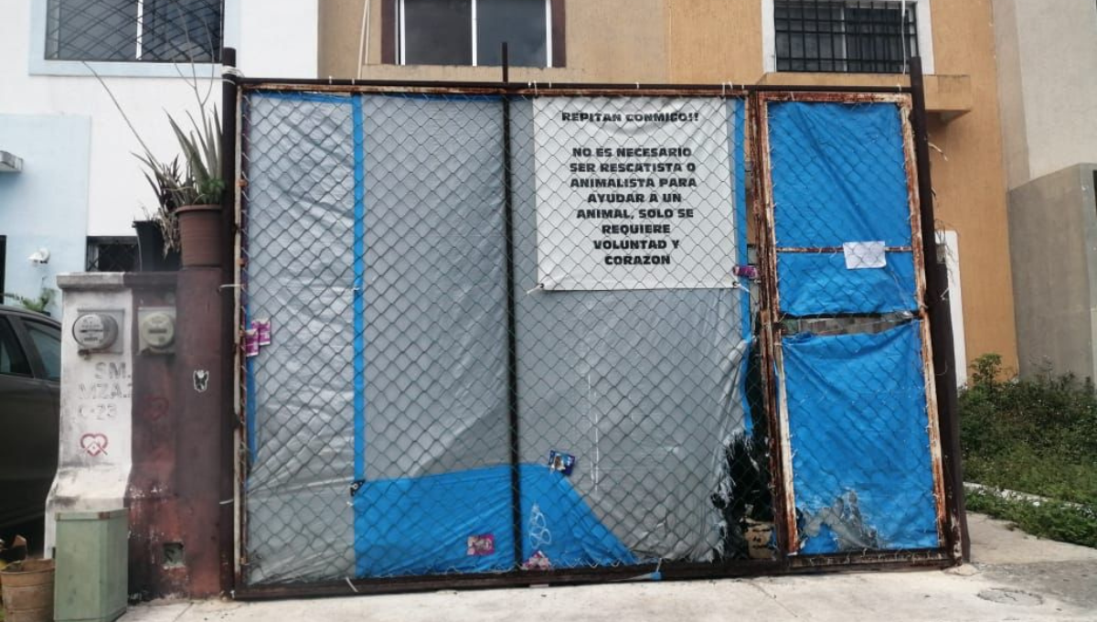 ¡Horror! Hallan a 30 perros muertos en un refugio clandestino de Cancún