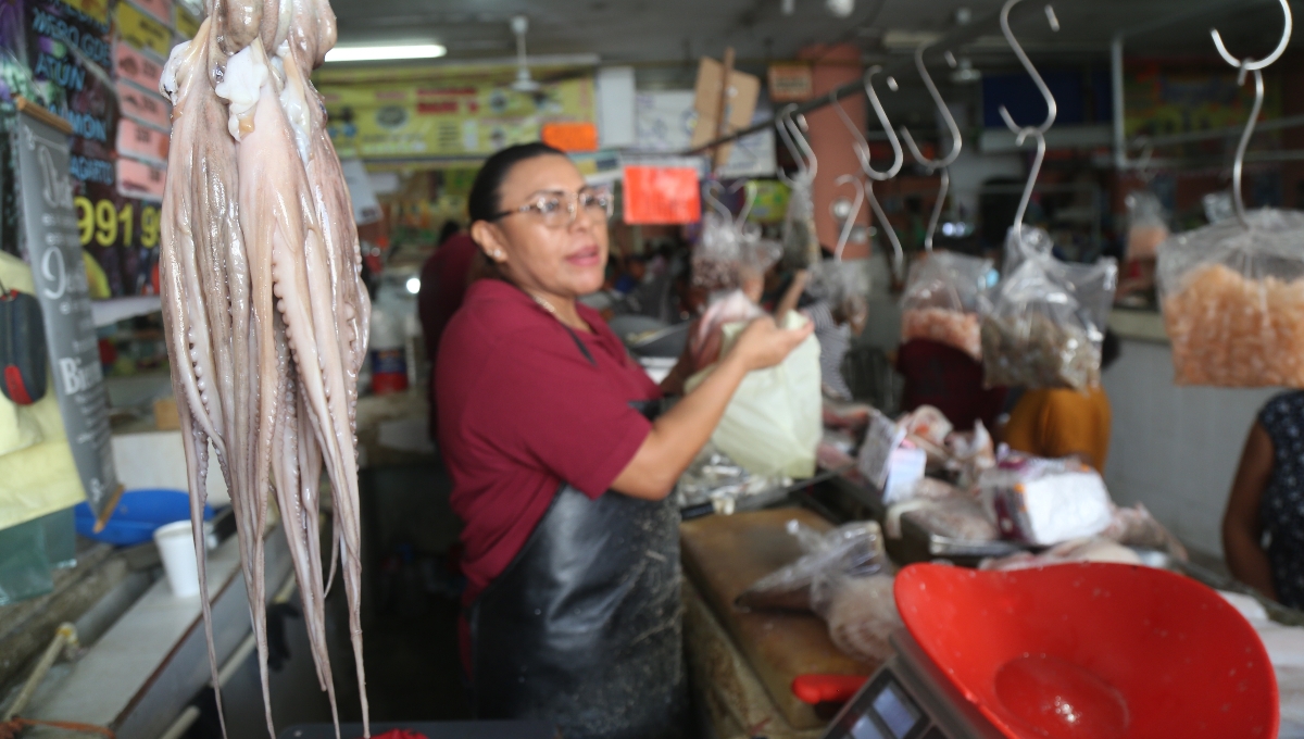 Pescadores de Yucatán, con la esperanza de capturar 28 mil toneladas de pulpo esta temporada