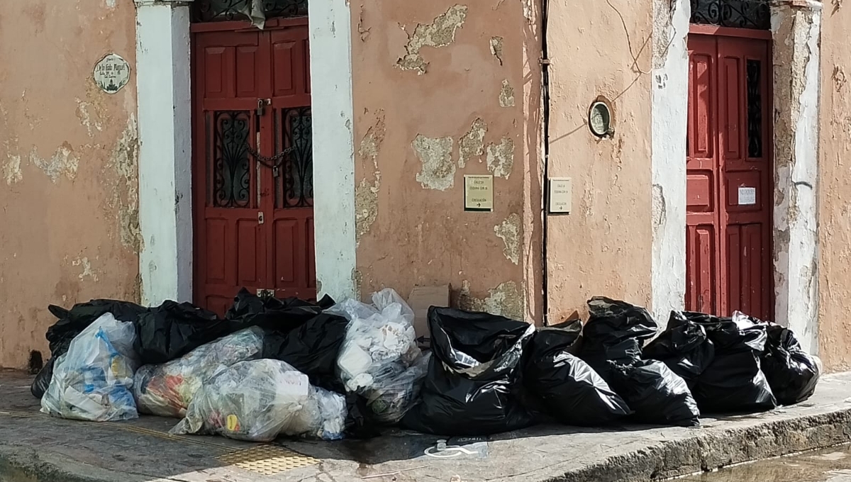 Empresarios de Campeche continúan con quejas por la falta de recoja de basura: EN VIVO