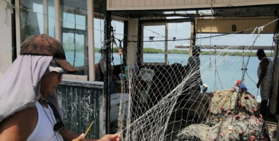 Pescadores no ven mejoras en los precios de langosta y tiburón en Isla Mujeres