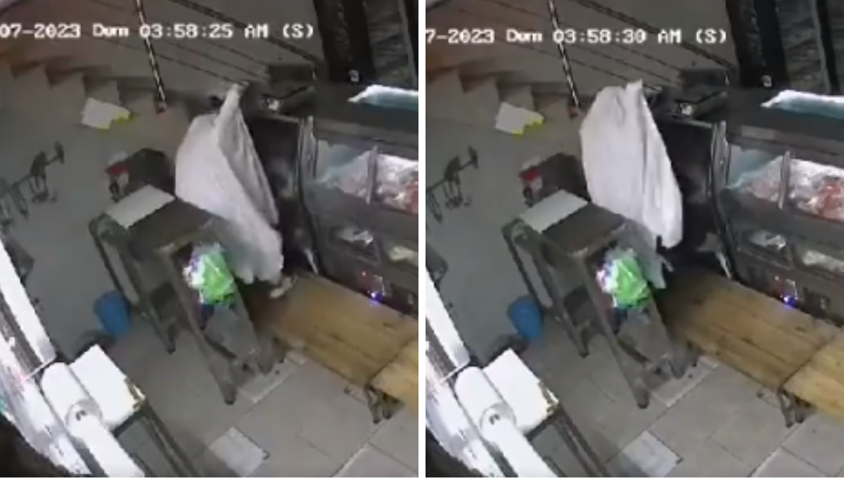 Captan a 'fantasma' que entró a robar a una carnicería en León, Guanajuato