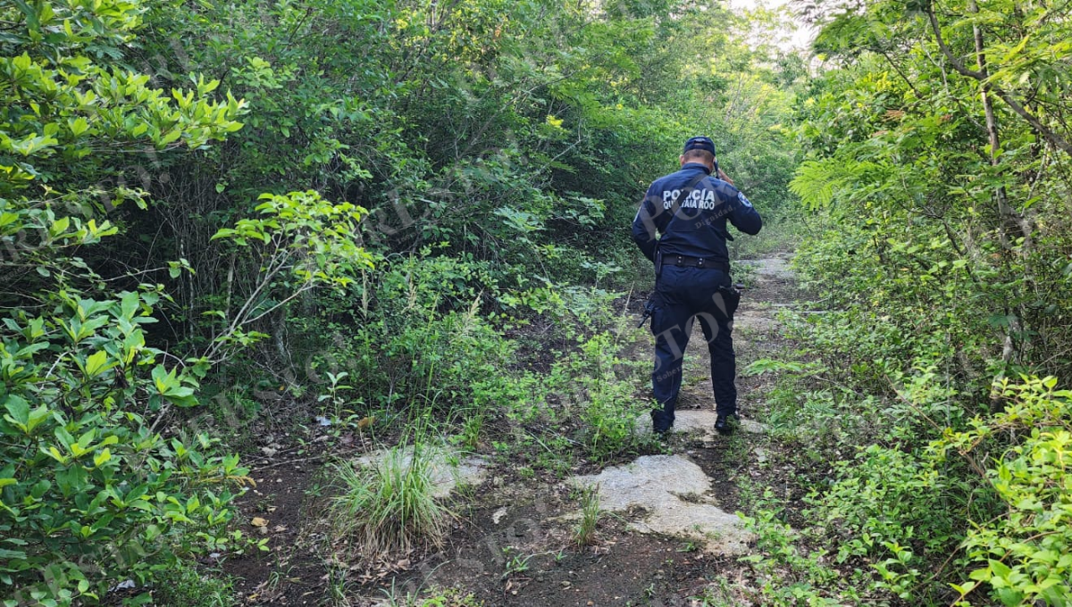 Hallan restos humanos cerca de un fraccionamiento en Cozumel