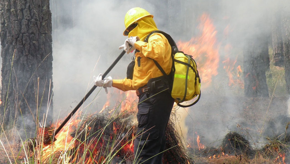 Lluvias reducen las alertas por incendios forestales en Campeche