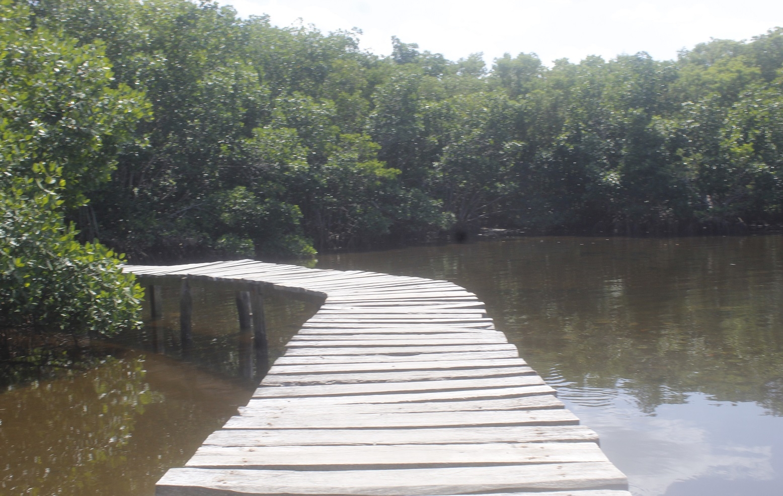 Conoce Punta Morena en Yucatán, destino ideal para turistas con espíritu aventurero