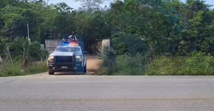 Catean predio en la carretera Tulum-Cobá; decomisan armas, drogas y explosivos