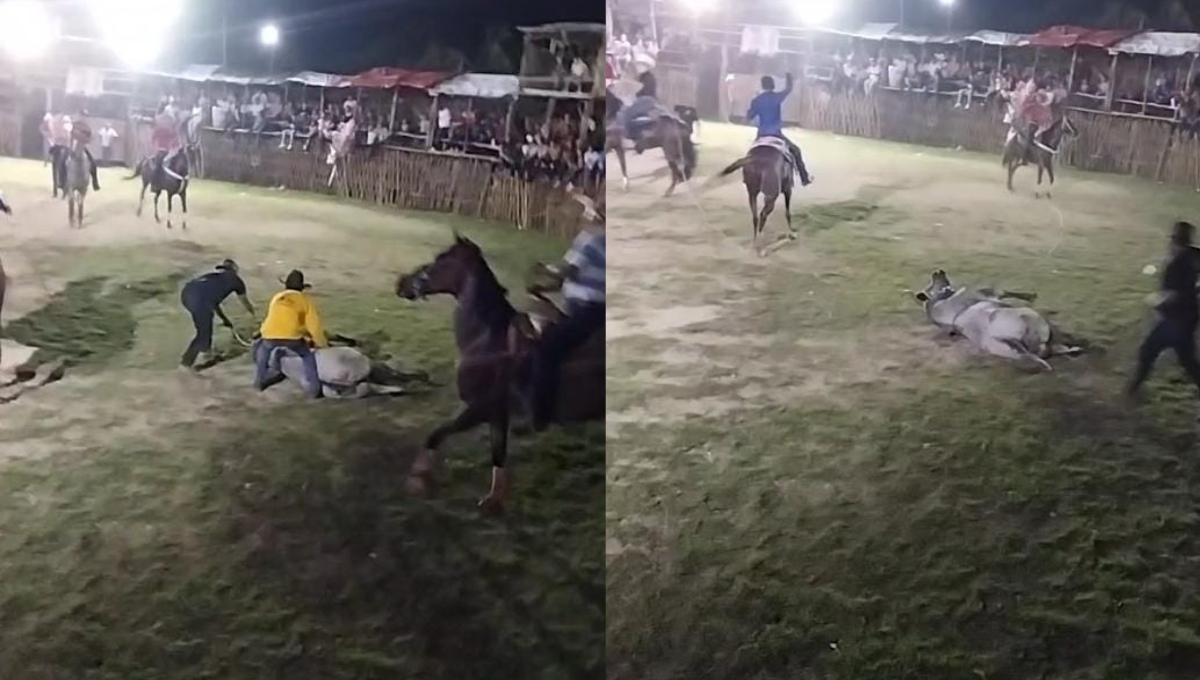 Fiesta tradicional de Sinanché termina en tragedia; toro muere durante una corrida: VIDEO