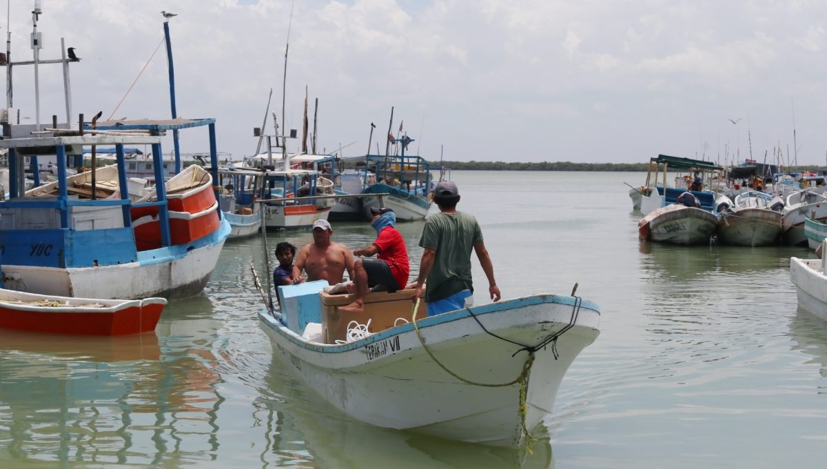 Residentes de Isla Mujeres ven incosteable el pescado y marisco