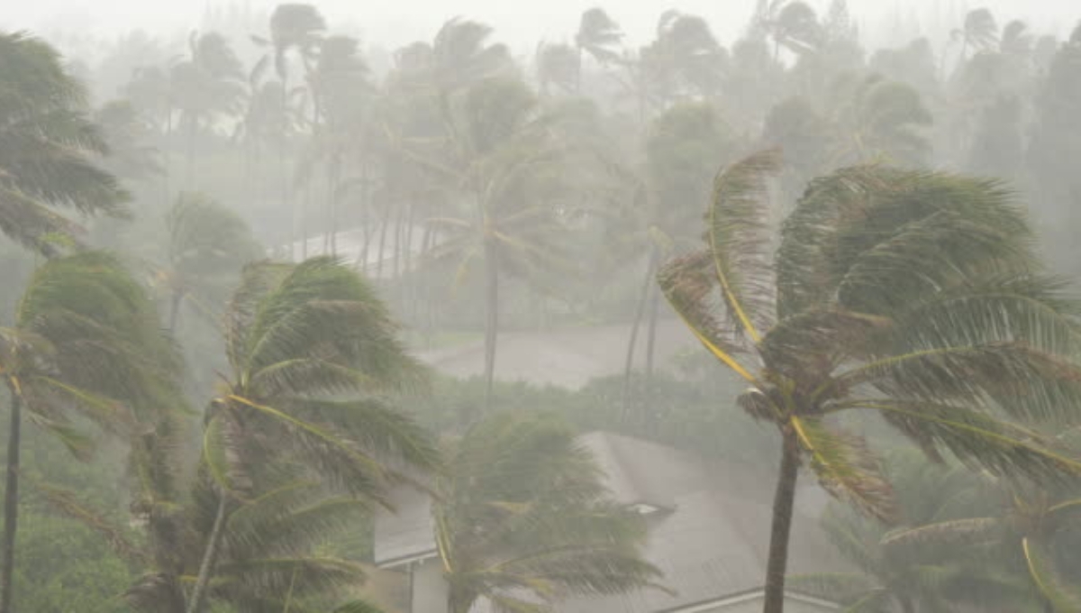 Tormenta Tropical Kenneth: ¿Afectará a Yucatán? Esta es su trayectoria