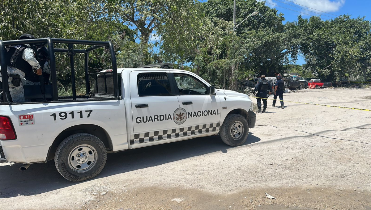 Hallan restos humanos en un deshuesadero en la Región 226 de Cancún