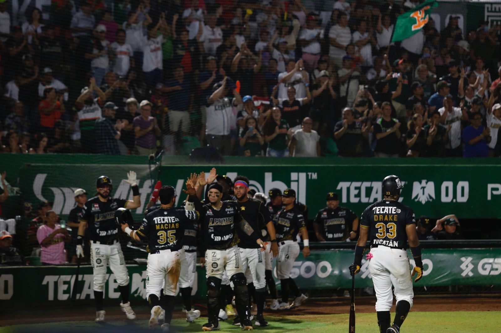 Leones de Yucatán califican a la segunda ronda de los playoff de la Liga Mexicana de Beisbol