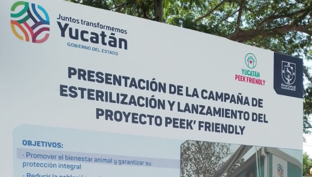 Mauricio Vila presenta el proyecto Peek' Friendly en Yucatán: EN VIVO
