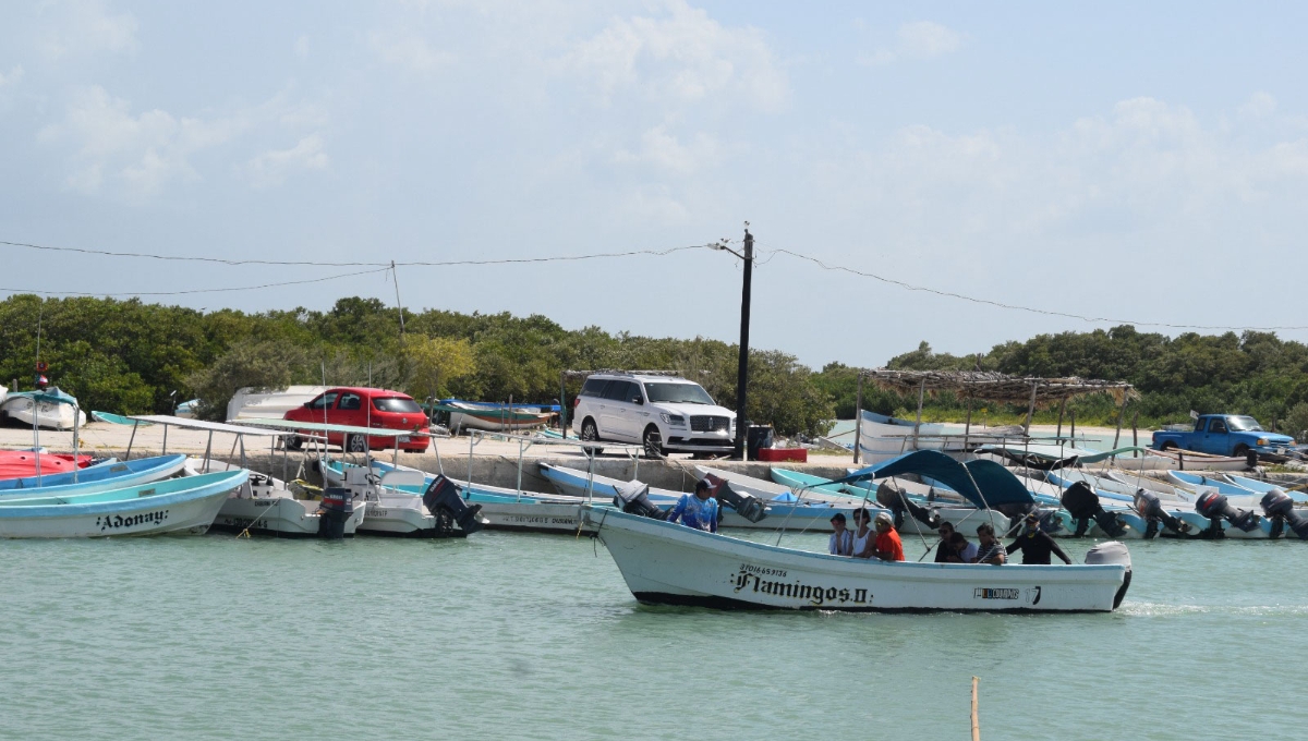 Pescadores foráneos llegan a Progreso para adueñarse de la temporada de pulpo