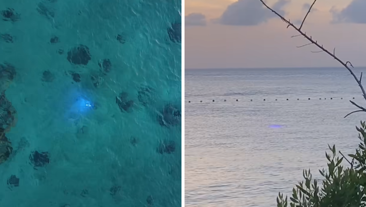 Captan extraña luz azul dentro del mar de Cozumel: VIDEO