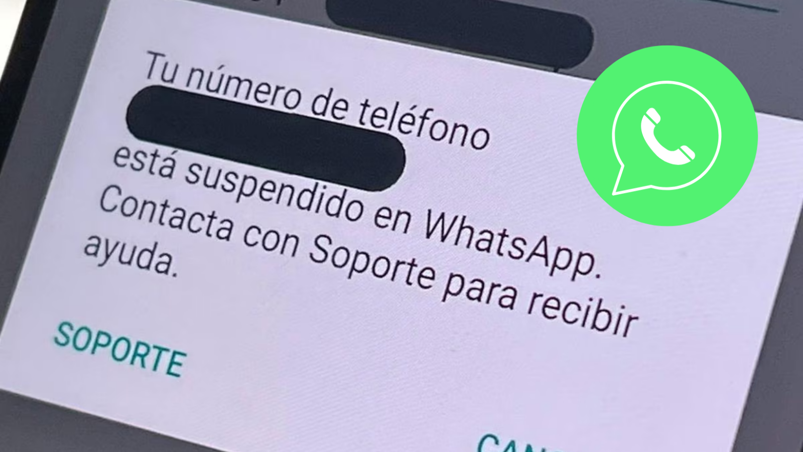 WhatsApp bloquea a los usuarios que envíen estas palabras prohibidas en sus chats