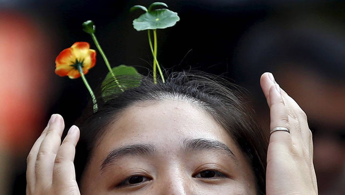 ¿Plantas en la cabeza? Así es la nueva tendencia de peinados viral en TikTok
