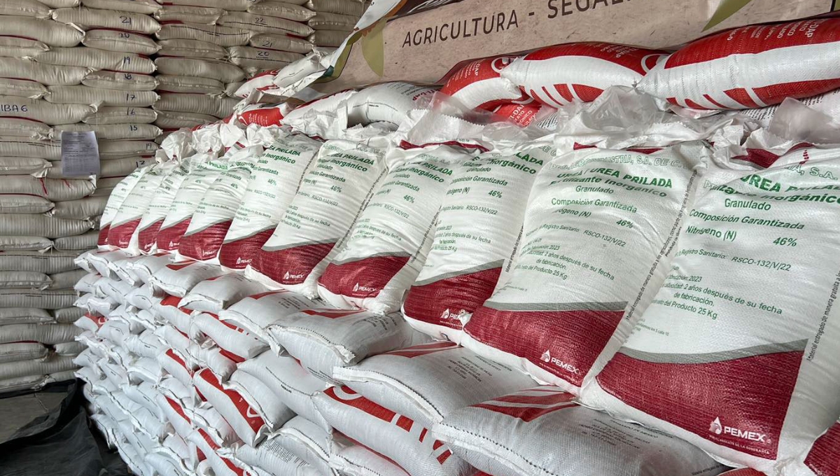 Gobierno de México entrega mil 900 mdp para fertilizantes gratuitos en Sinaloa