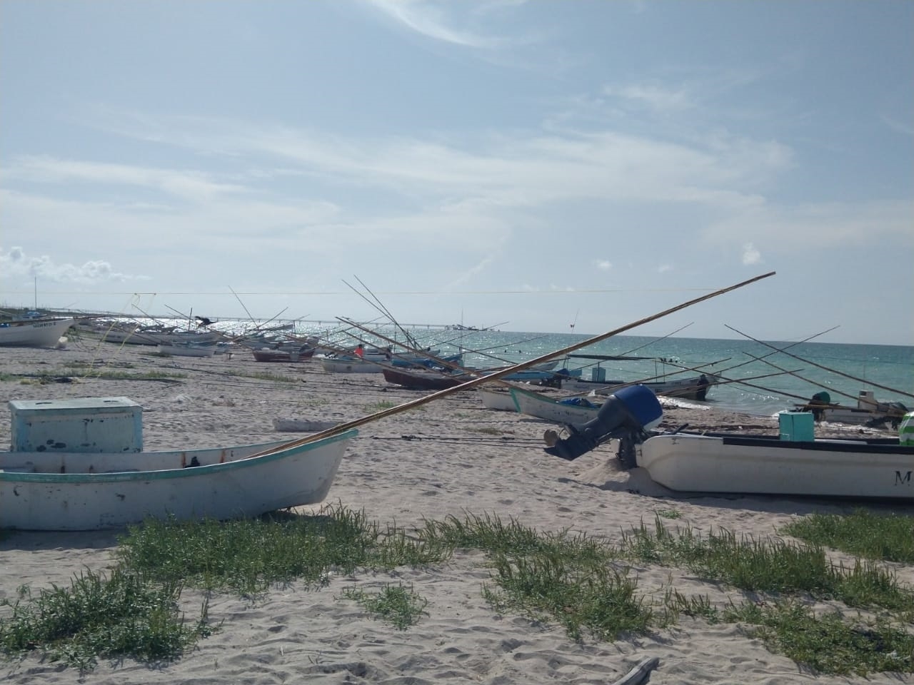 Pescadores de Yucatán temen por la llegada de un Huracán tras la pésima temporada de pulpo