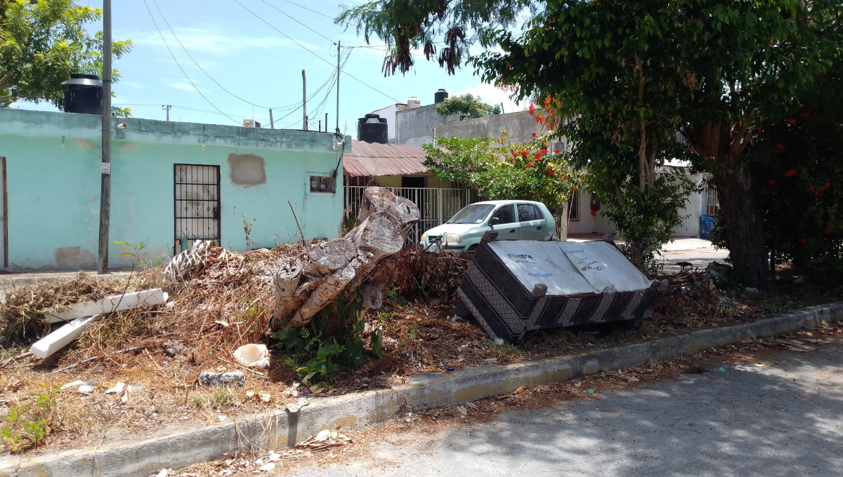 Basura 'inunda' las calles de la Región 99 en Cancún; vecinos viven entre cacharros y ratas