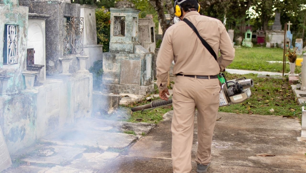 Secretaría de Salud de Yucatán inicia brigadas para disminuir los contagios y muertes por dengue