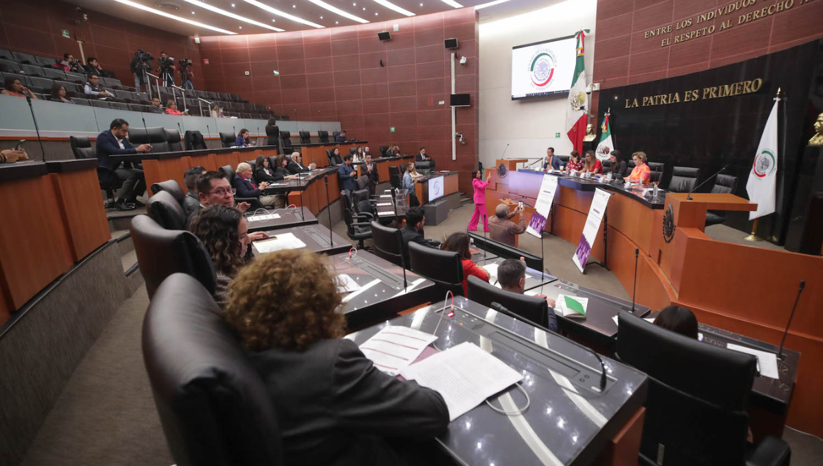 Ley Malena: Congreso de Quintana Roo minimiza ataques con ácido a mujeres