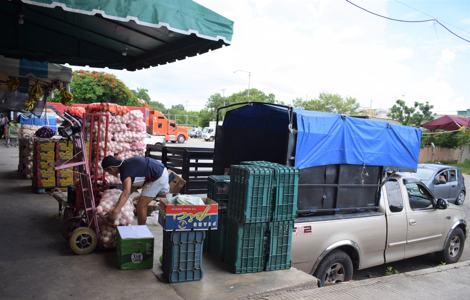 Central de Abasto de Mérida culpa al transporte por el alza en el precio de la canasta básica