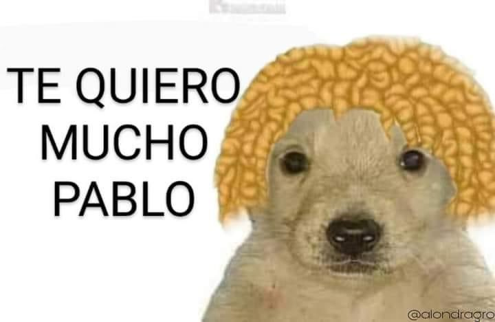 Pablo se lleva los mejores memes con su triunfo en Survivor México