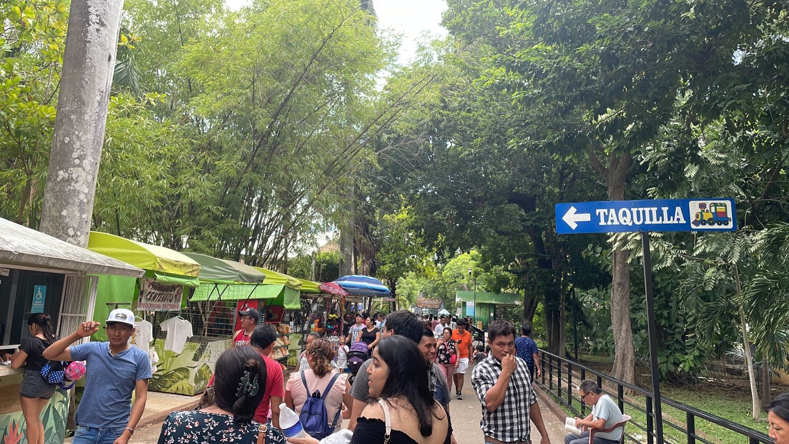 Meridanos despiden vacaciones de Verano en el Parque Zoológico Centenario: EN VIVO