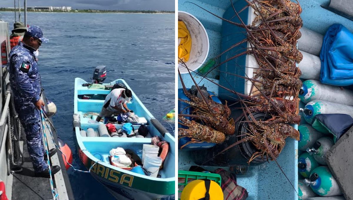 Aseguran bote de pesca ilegal de langosta en Playa del Carmen