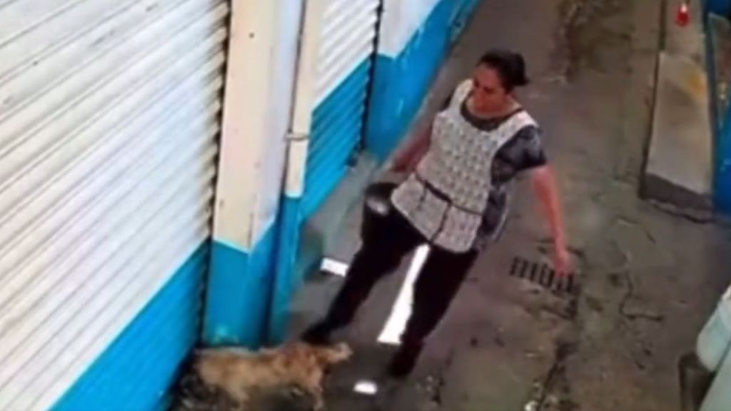 Exhiben a mujer por golpear a perrito en un mercado de Ecatepec, Edomex