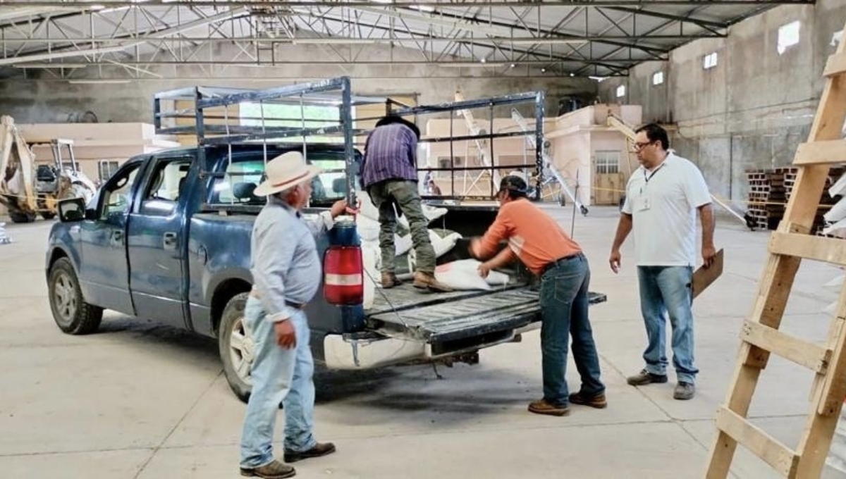 Fertilizantes para el Bienestar en Yucatán: Horarios y sedes para la entrega del apoyo